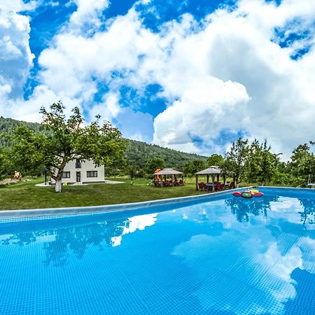 Hotel Transalpina Retreat Novaci-Străini Esterno foto